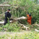 WhatsApp Image 2021-08-22 at 5.28.25 PM