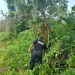 WhatsApp Image 2021-08-22 at 5.28.46 PM-4