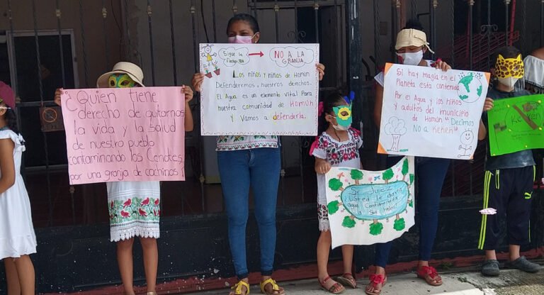 WhatsApp Image 2021-08-25 at 11.14.17 AM-2