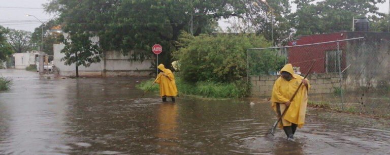 WhatsApp Image 2021-09-07 at 9.17.45 PM-2