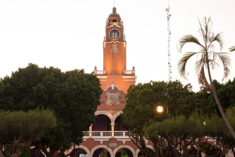 WhatsApp Image 2021-09-15 at 4.54.31 PM