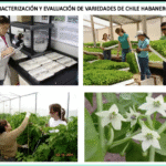 Captura de Pantalla 2021-10-20 a la(s) 13.49.33