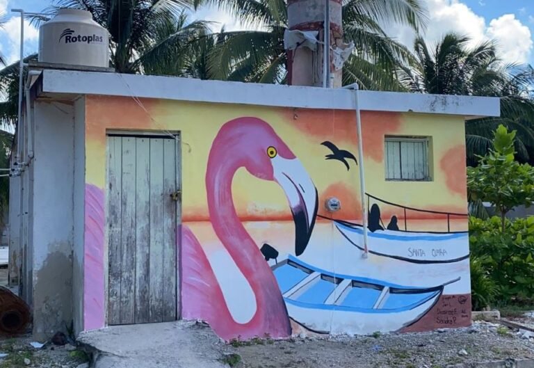 Santa Clara - Dzidzantún 3