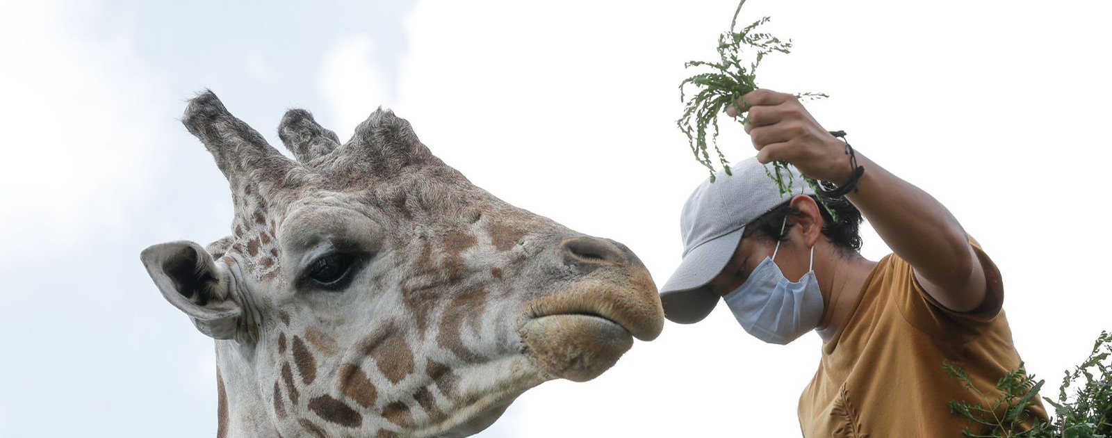 Guardanimales una vida profesando amor a los residentes de los zoológicos