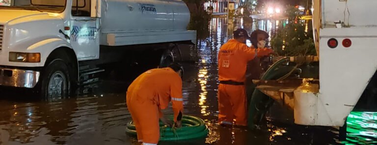 WhatsApp Image 2021-10-05 at 10.30.52 PM