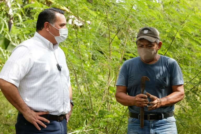 Círculo 47 3 2021-11-04 at 3.44.26 PM (2)