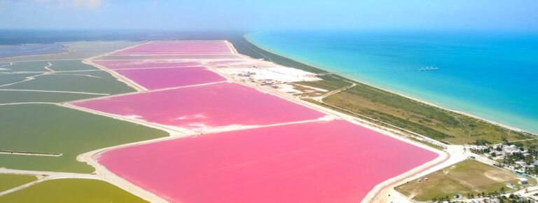 WhatsApp Image 2021-12-01 at 11.12.20 AM