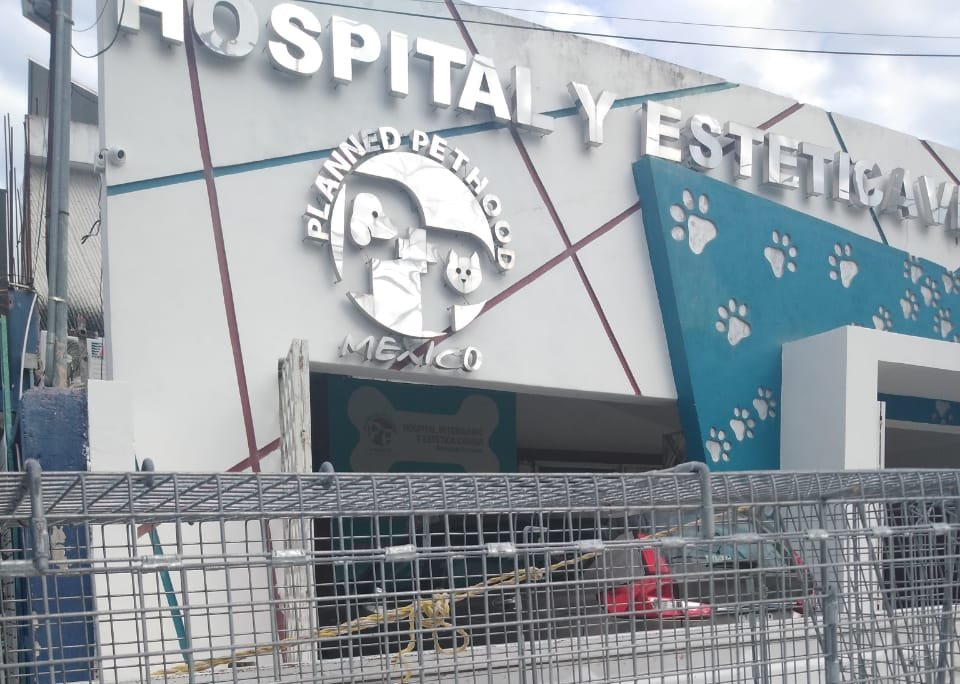 Cultur da atención a perrito cuidador de Chichen Itzá