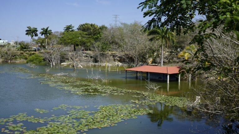 f1280x720-63936_195611_5050