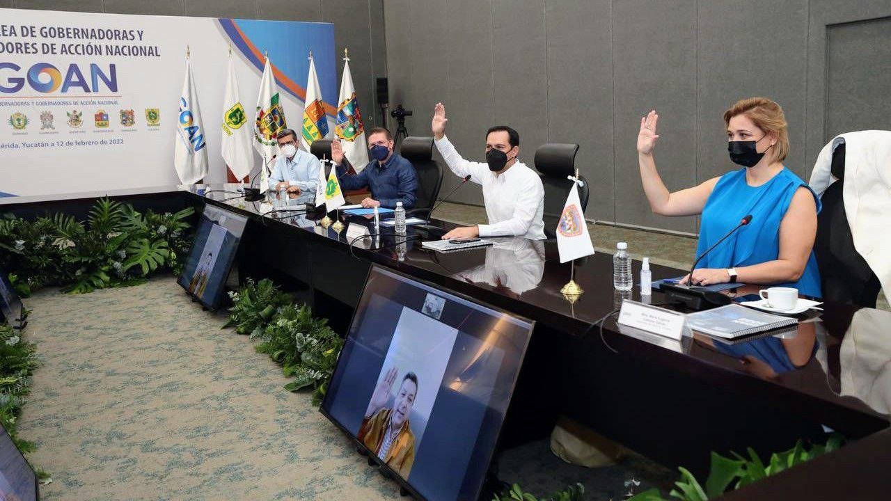 Elección de Mauricio Vila  nuevo presidente del GOAN