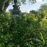 B36F38EE-EC6B-46AF-A17B-8F146E78247B