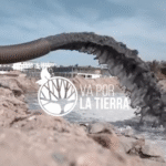 Captura de Pantalla 2022-03-16 a la(s) 19.01.41