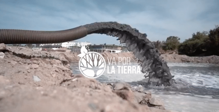 Captura de Pantalla 2022-03-16 a la(s) 19.01.41