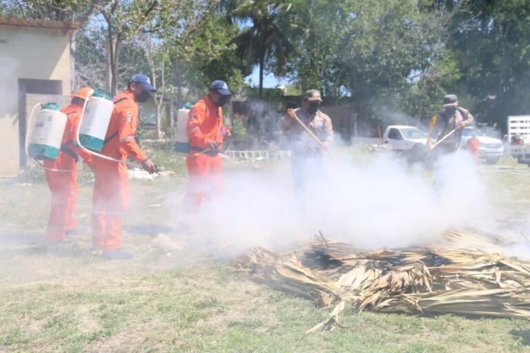 WhatsApp Image 2022-03-12 at 2.49.37 PM