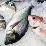 277164027_2864986937132466_2744861053227902576_n