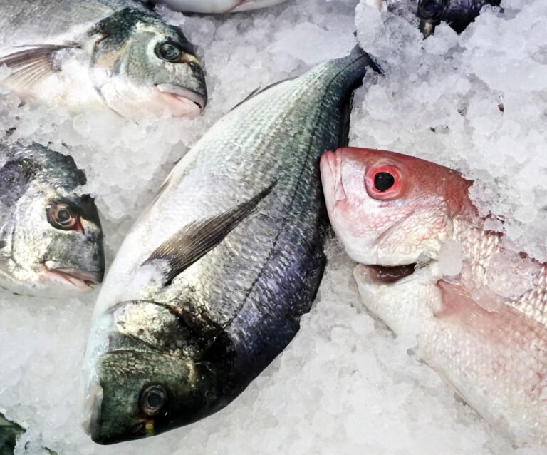 277164027_2864986937132466_2744861053227902576_n