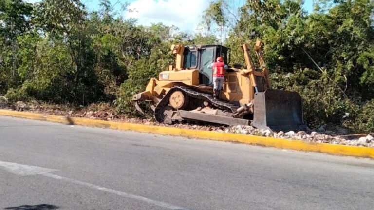 Continua-el-desmonte-de-selva-en-Quintana-Roo-para-vias-del-Tren-Maya-pese-a-un-amparo