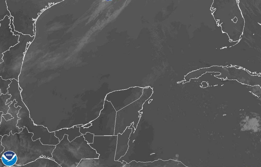 WhatsApp Image 2022-03-30 at 6.54.53 PM