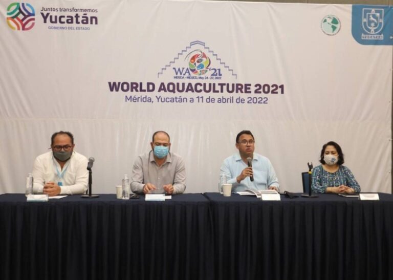 WhatsApp Image 2022-04-11 at 6.59.14 PM