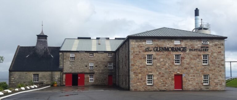 WhatsApp Image 2022-04-12 at 10.35.41 AM