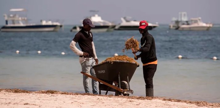 Y6ZKNQUIFVGU3KLAJPO2TVLNQY