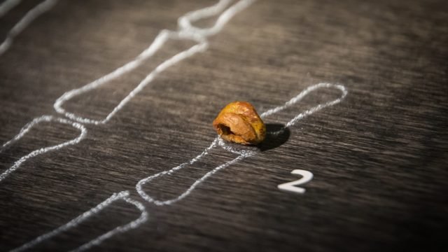 Denisova_Phalanx_distalis-640x360