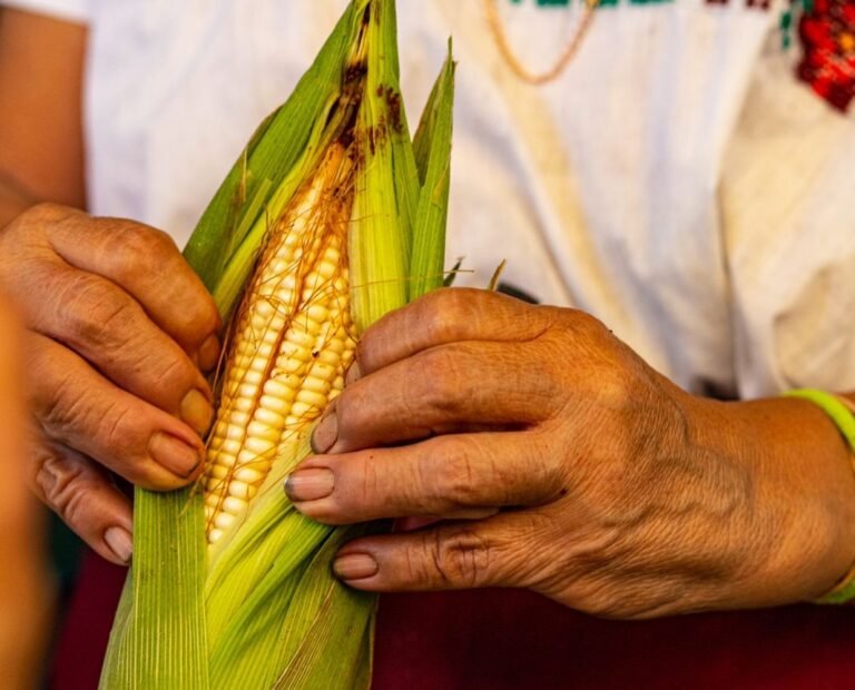 image_editor_output_image-2119576015-1651874625793