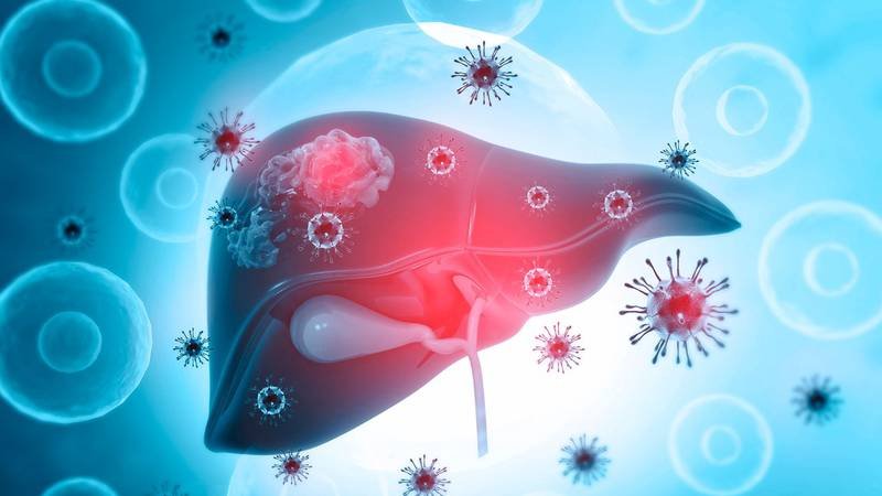 ¿Cómo se transmite la hepatitis A, B, C, D, E y la infantil?