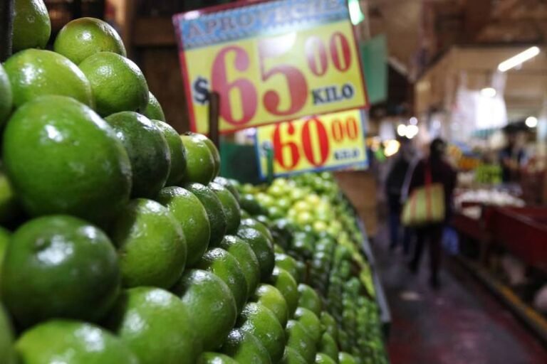 Q2S5SOB73ZBMJKFGLNLEUN3LJE