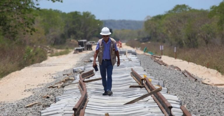 tramo-5-tren-maya-causara-derrumbes-perdida-485-hectareas-selva-advierte-manifestacion-impacto-ambiental-1024x529
