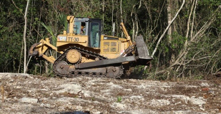 Tren-Maya-suspensión-1024x529