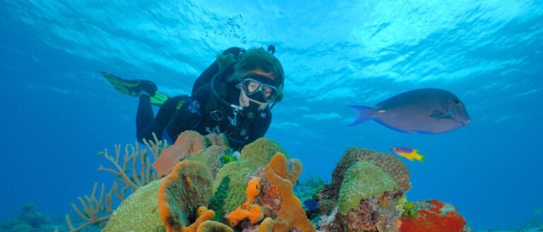 WhatsApp Image 2022-05-10 at 2.51.06 PM