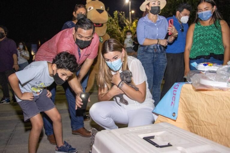 WhatsApp Image 2022-05-18 at 1.26.54 PM