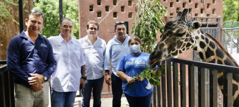 0BCD8619-7677-41B4-AE45-6849A6EE0FE9