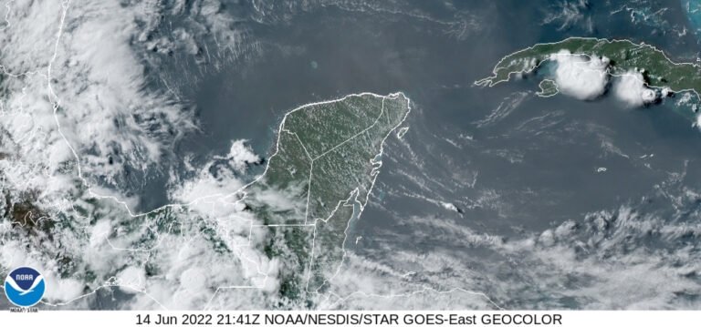 D1B81EA1-79C4-4A19-B2A1-F99B38A72181