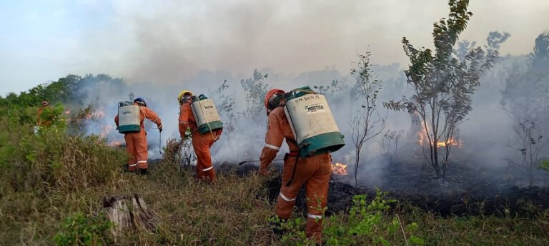 ED1B1091-53A9-4A5B-B6CE-679CFA309C51