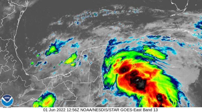 WhatsApp Image 2022-06-01 at 10.12.04 AM