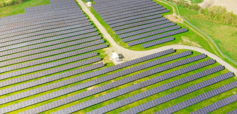 WhatsApp Image 2022-06-10 at 10.40.16 AM