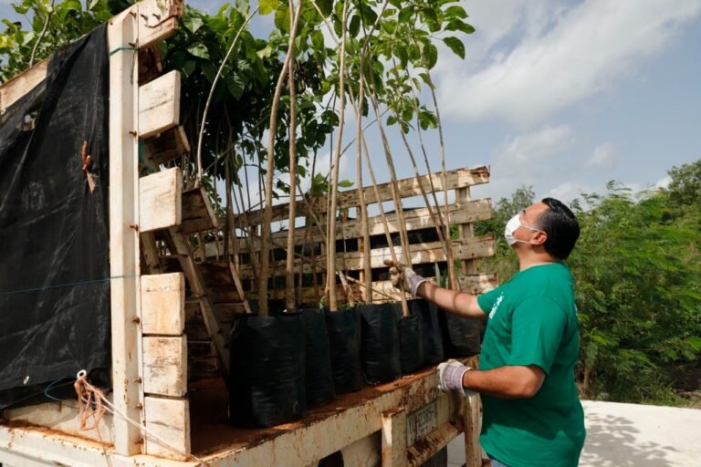 WhatsApp Image 2022-06-25 at 4.23.03 PM