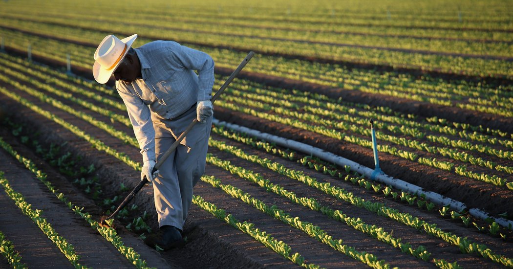 El trabajo de los migrantes en Estados Unidos genera 2.7 billones de dólares al año