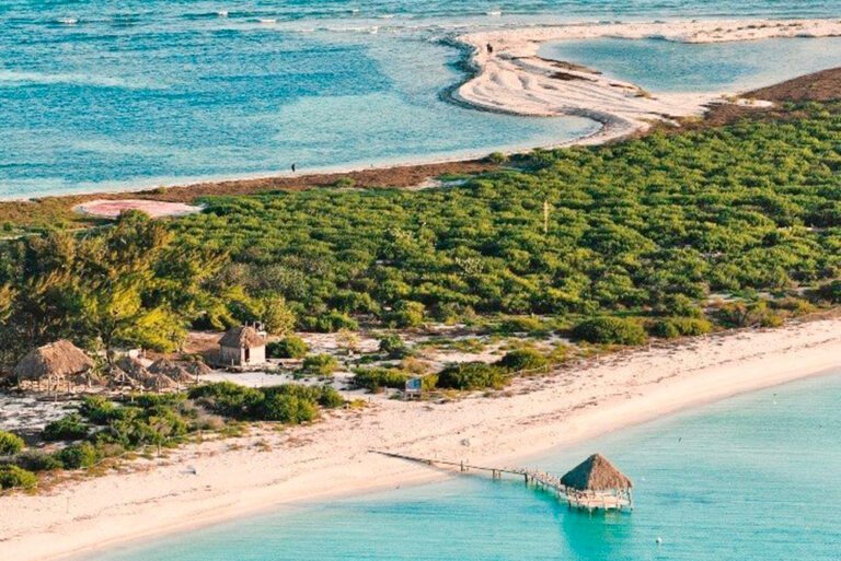 22B85817-DB2E-4047-8900-E16C548DF26A_1_201_a