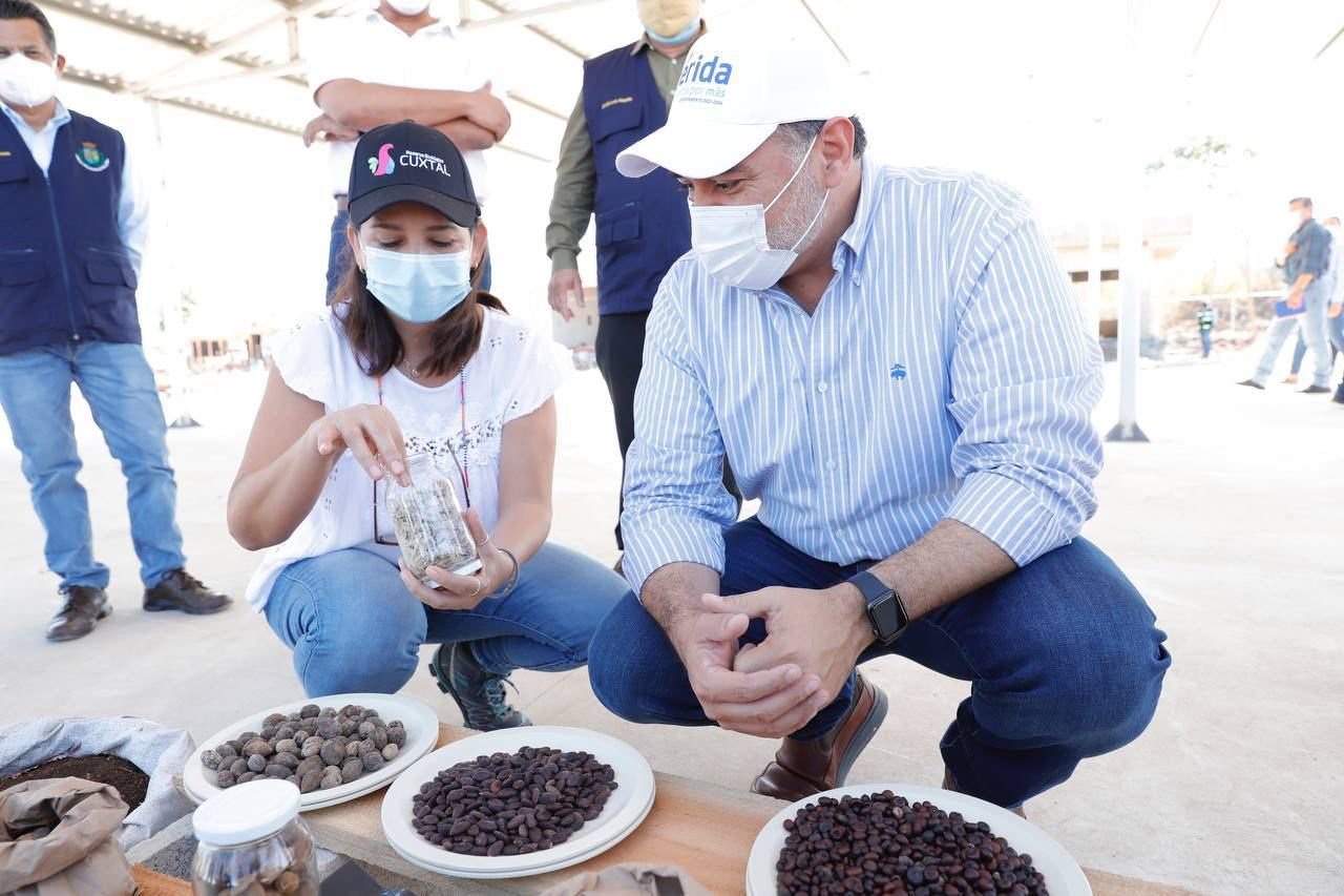 El Alcalde Renán Barrera impulsa una ciudad sostenible y sustentable a con la reserva Cuxtal