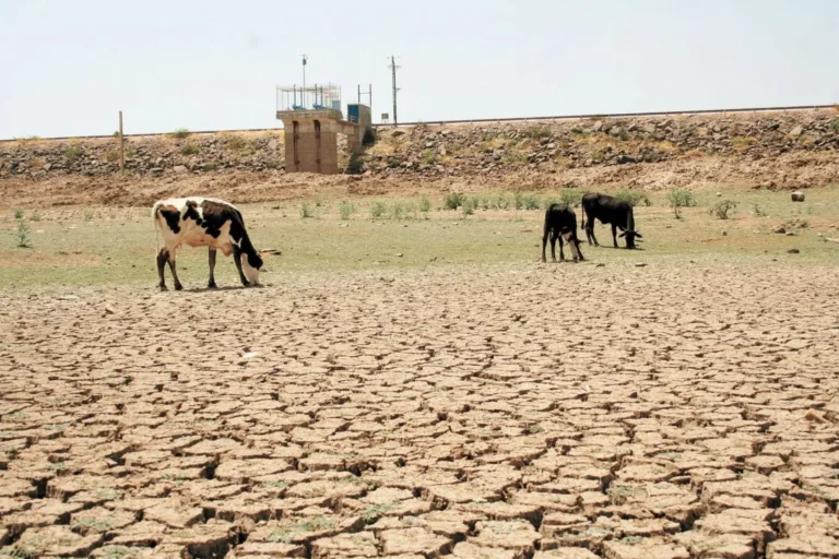 sequia_presas_querxtaro_x5x.jpg_2118499843