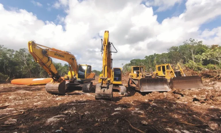 tren_maya_cuartoscuro_884333_impreso.jpg_1147515590