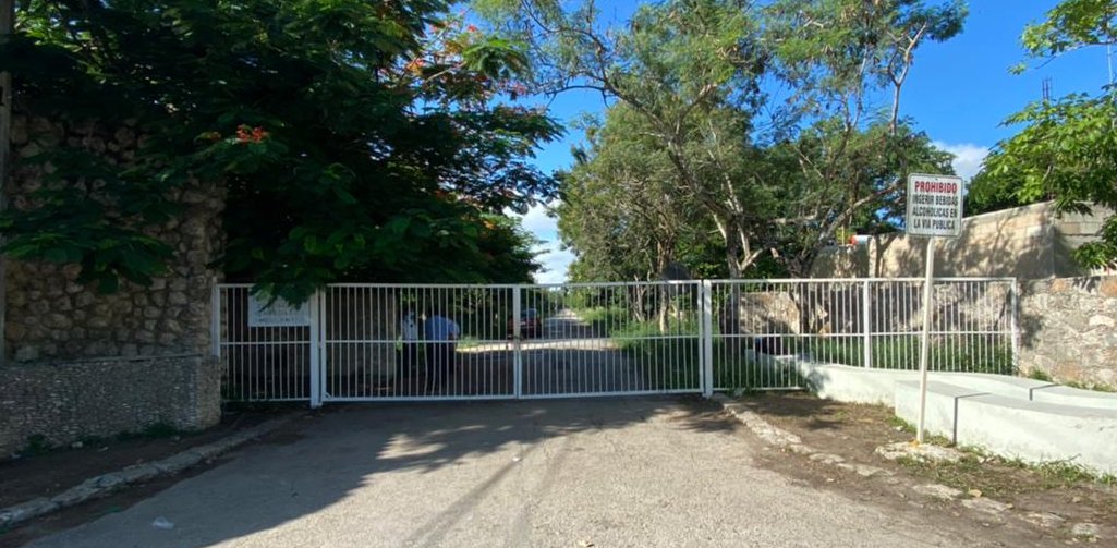 Tras 12 meses, la zona arqueológica de Dzibilchaltún abrirá el 21 de julio