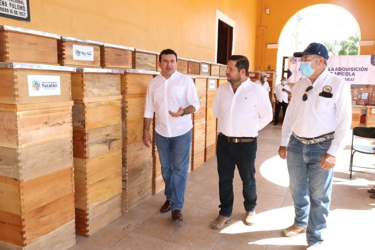 Apoyo del Gobernador Mauricio Vila Dosal llega a los apicultores de Chocholá