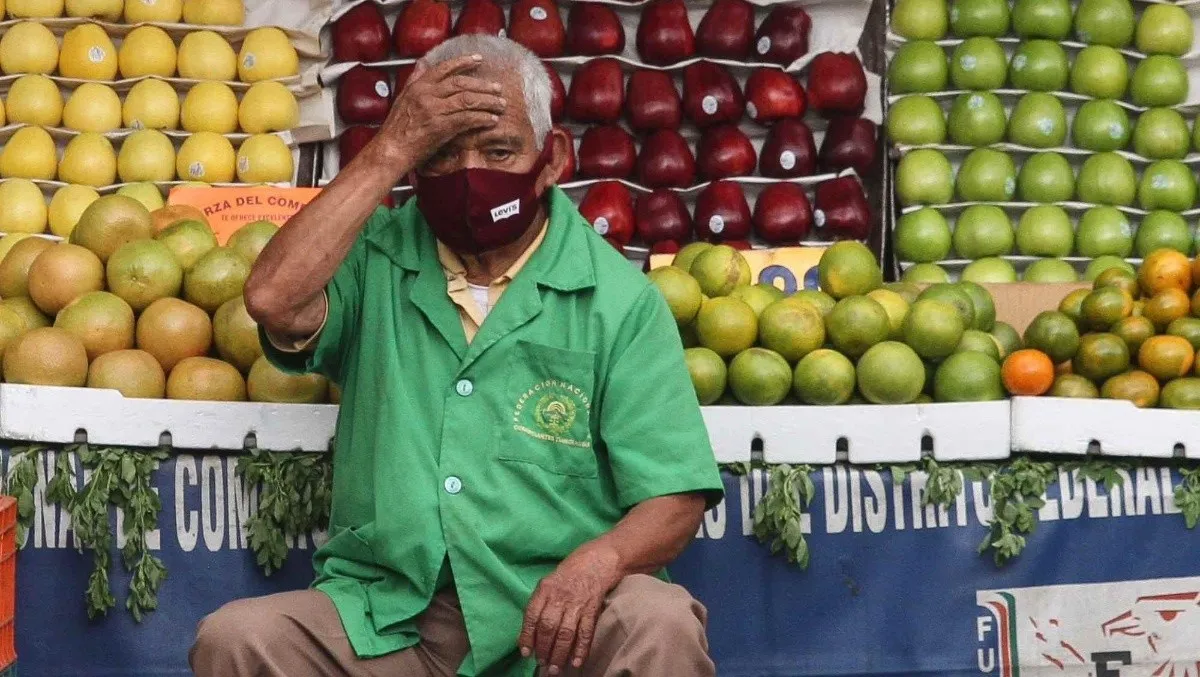 Empleo informal retoma ritmo de crecimiento, abarca a 32 millones de personas