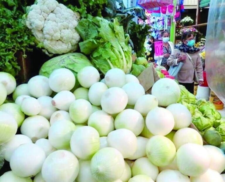 Imagen 23-09-22 a las 14.09