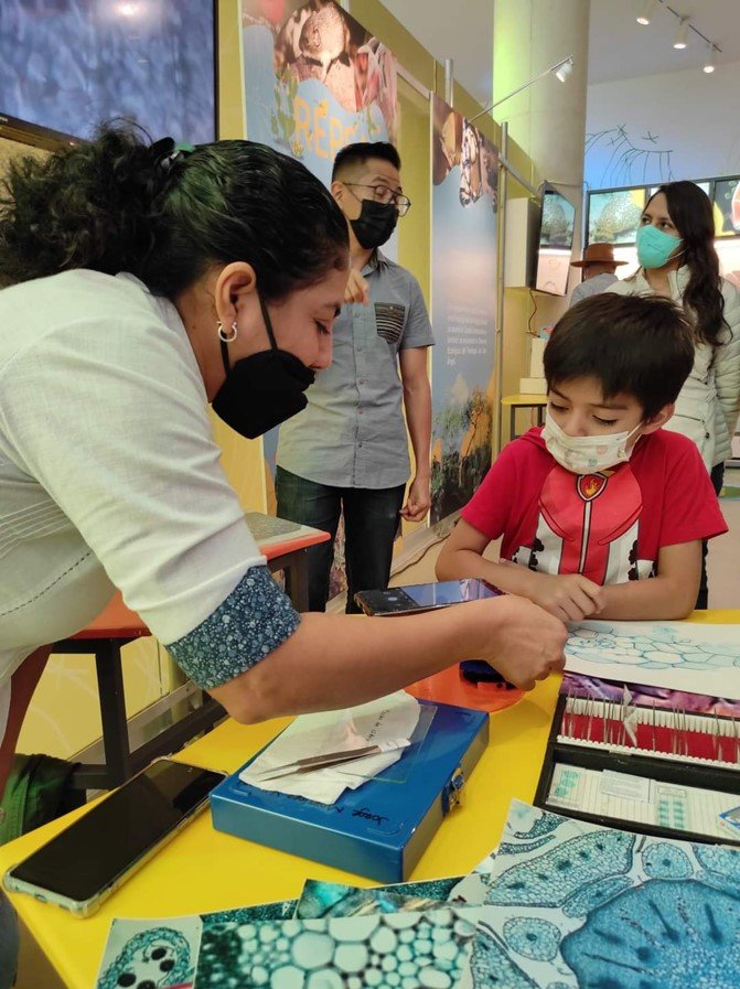 SSY: Cero bajas, 4 contagios y 8 hospitalizados por Covid en Yucatán 