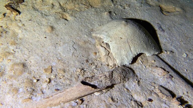 NULQCGEGGBHNJEBQ62DYXQJDQA